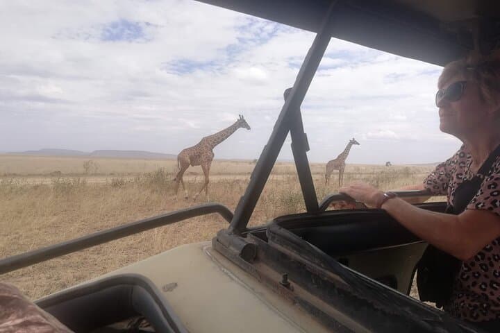 8-Day Private Tanzania Safari — Serengeti, Ngorongoro & Tarangire Wildlife Circuit photo 3