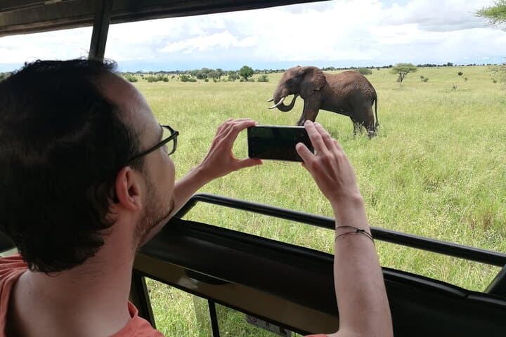 8-Day Private Tanzania Safari — Serengeti, Ngorongoro & Tarangire Wildlife Circuit photo 5