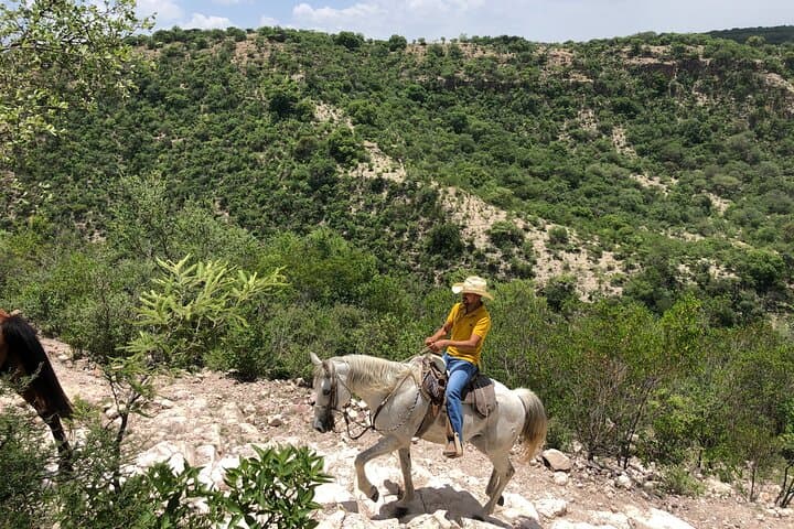 Half-Day Horseback Riding at Rancho Xotolar Near Cañada de la Virgen photo 5