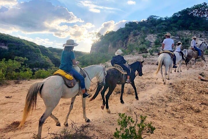Half-Day Horseback Riding at Rancho Xotolar Near Cañada de la Virgen