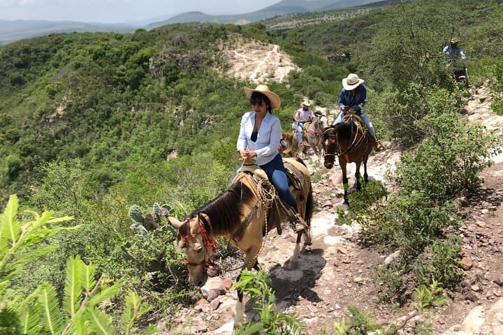 Half-Day Horseback Riding at Rancho Xotolar Near Cañada de la Virgen photo 2