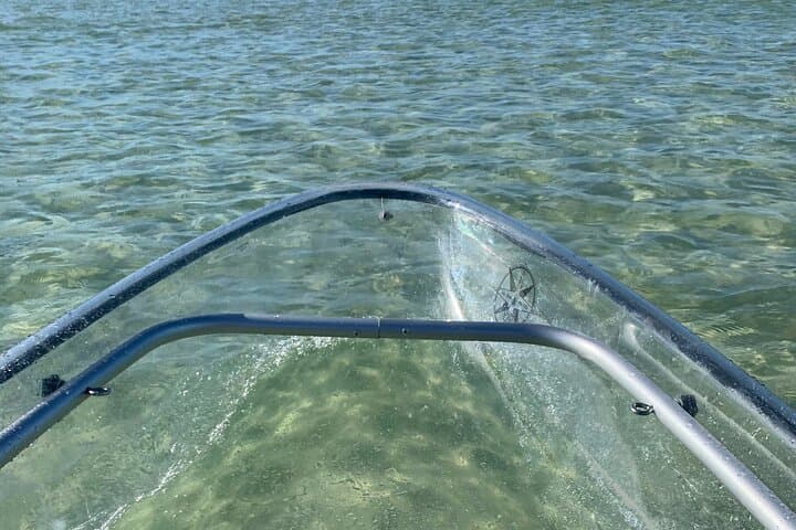 Clear Kayak Eco Tour at Wiggins Pass — Naples Clear Kayak Adventure photo 6