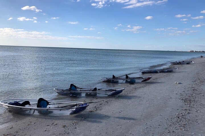 Clear Kayak Eco Tour at Wiggins Pass — Naples Clear Kayak Adventure photo 3