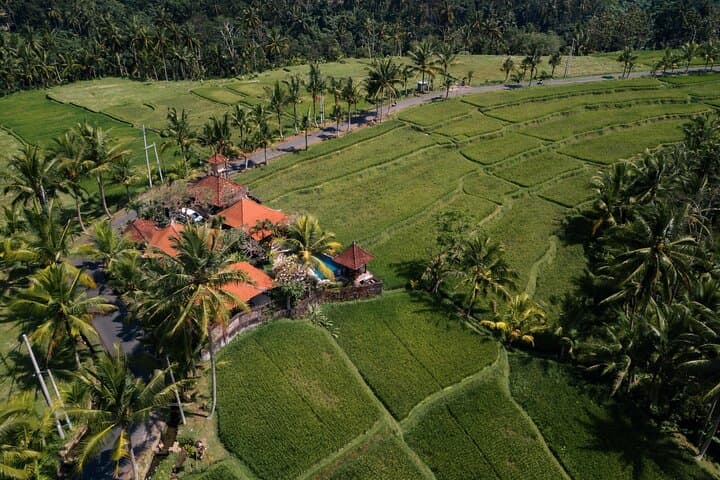 ATV Tour Through Bali's Bamboo Forests and Rice Terraces photo 3