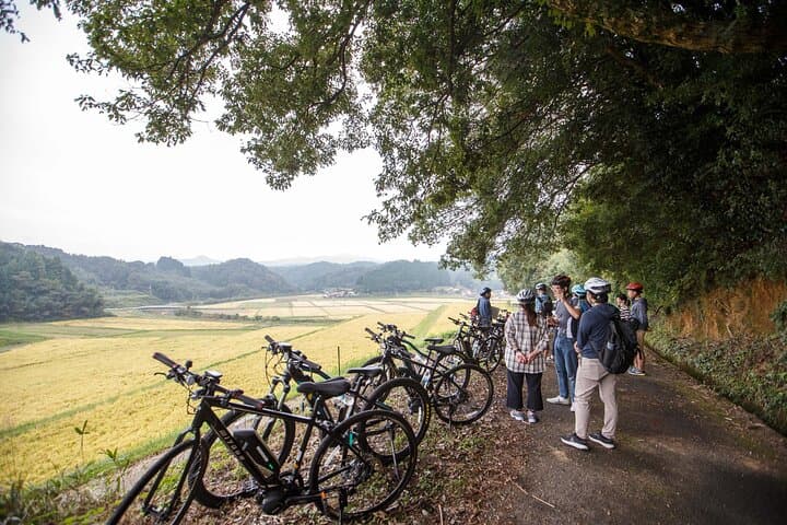 Hagi Sake Brewery Cycling Tour: Ride Through Rice Fields to Yachiyo Tasting photo 3
