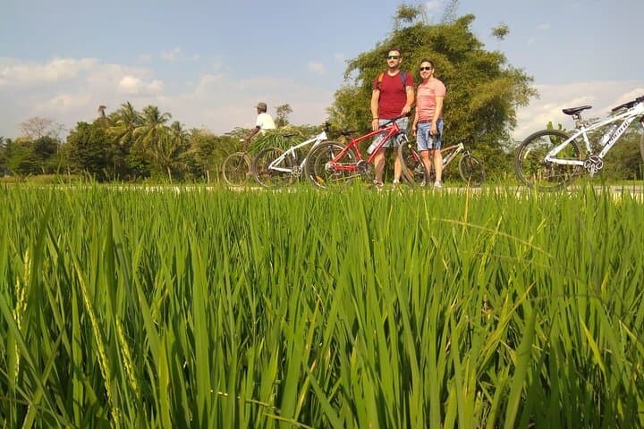 Private Borobudur Village Bike Tour: Ride Through Rice Fields, Batik & Local Workshops photo 2