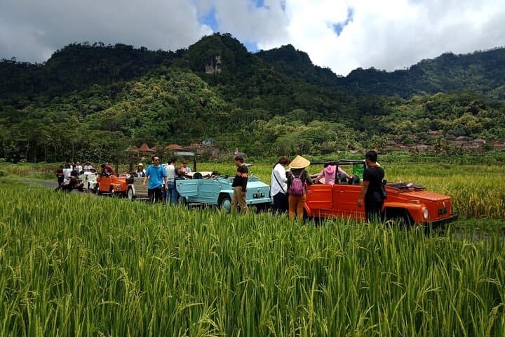 Ride a Classic VW Safari Through Borobudur's Villages