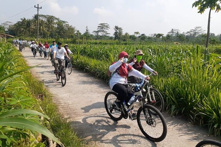 Private Borobudur Village Bike Tour: Ride Through Rice Fields, Batik & Local Workshops photo 4