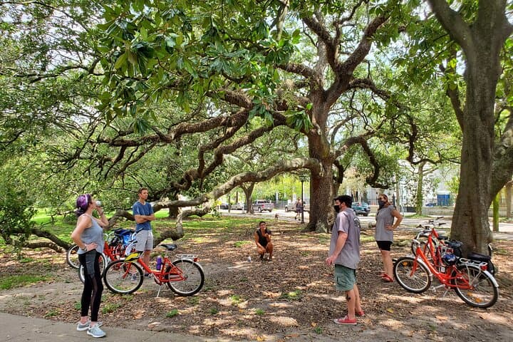 New Orleans Garden District and Cemetery Bike Tour: Mansions, Cemeteries & Irish Channel