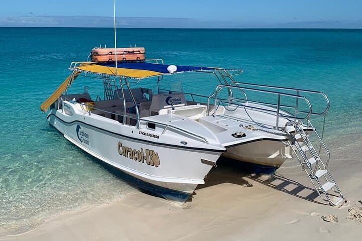 Full-Day Private Boat Charter from Grace Bay: Snorkel Emerald Reef, Visit Iguana Island & Fort George Cay