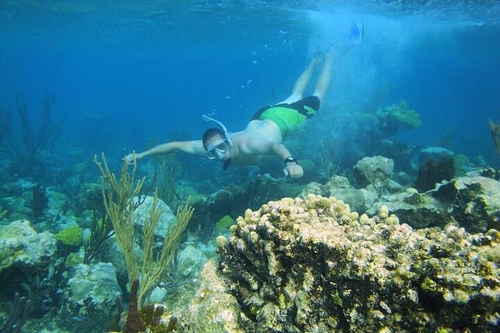 Full-Day Private Boat Charter from Grace Bay: Snorkel Emerald Reef, Visit Iguana Island & Fort George Cay photo 5