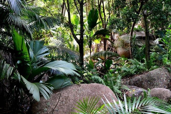 Praslin's Peaks and Postcard Shores: Private Fond Ferdinand to Anse Lazio Tour photo 2