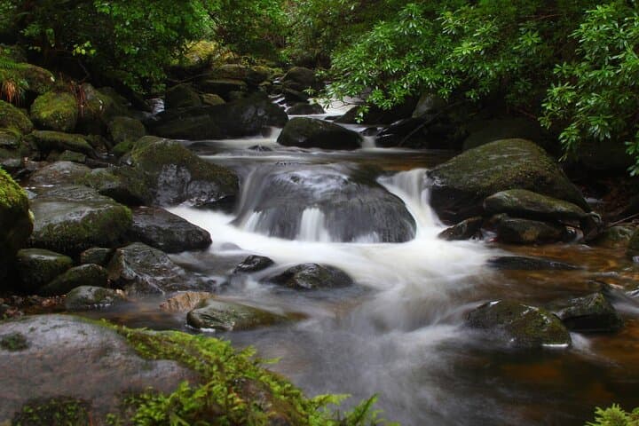 Torc Mountain & Waterfall Hike in Killarney — Private 3.5‑Hour Guided Walk photo 3