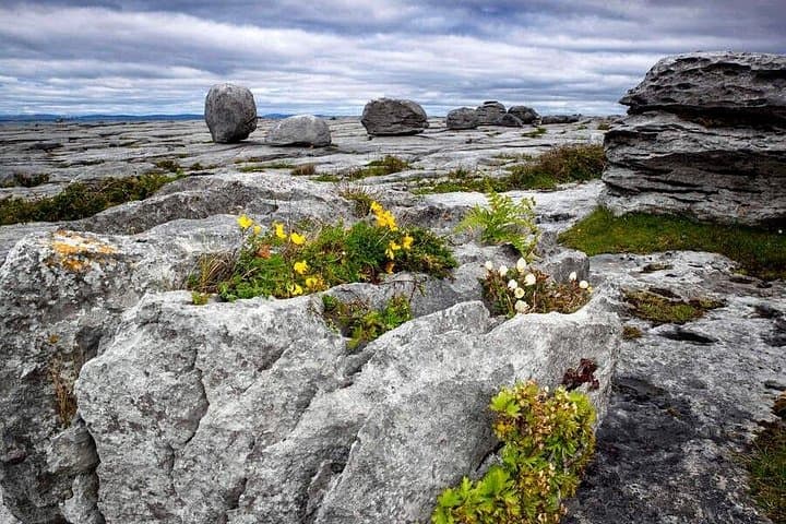 Walk the Burren: 4-Hour Guided Hike in Burren National Park & Perfumery Visit photo 2