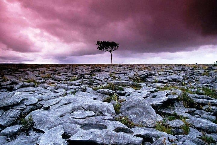 Walk the Burren: 4-Hour Guided Hike in Burren National Park & Perfumery Visit