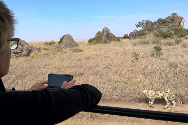 4-Day Tarangire, Serengeti & Ngorongoro Safari from Arusha — Classic Budget Group Safari photo 3