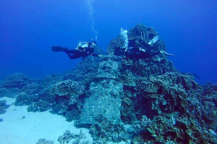 Scuba Diving Easter Island: Introductory Dive to Submerged Moai and Coastal Reefs