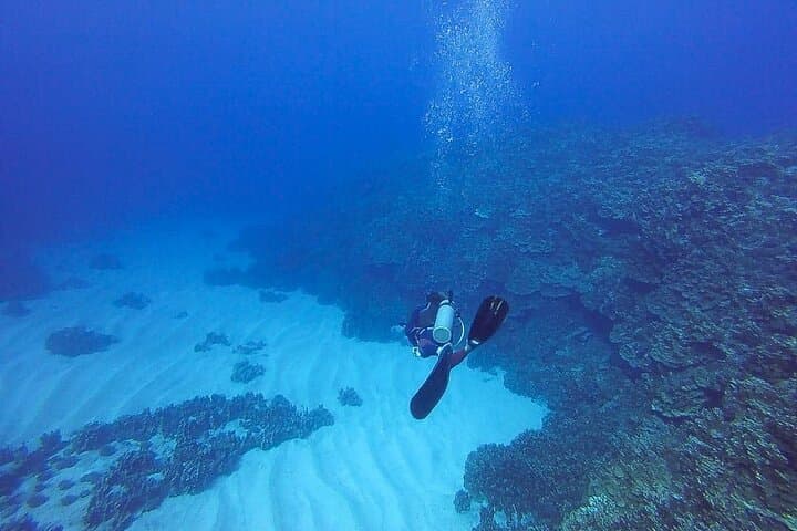 Scuba Diving Easter Island: Introductory Dive to Submerged Moai and Coastal Reefs photo 2