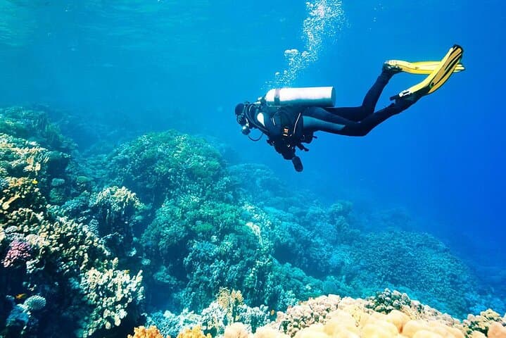 Scuba Diving Easter Island: Introductory Dive to Submerged Moai and Coastal Reefs photo 4