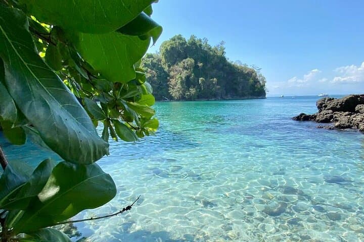 Manuel Antonio Ocean Hike: Hidden Beaches & Coastal Trails from Quepos photo 6