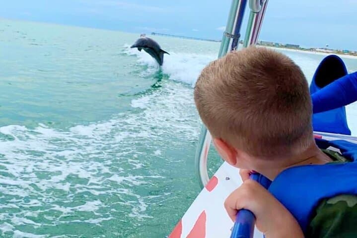 Destin Dolphin-Watching Speedboat Cruise on the Screaming Eagle