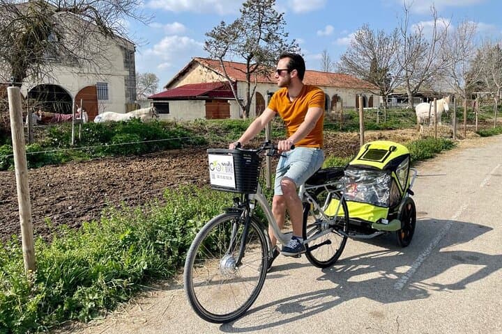 Electric Bike to Palavas Beach from Montpellier — Antigone, Maguelone & Flamingos