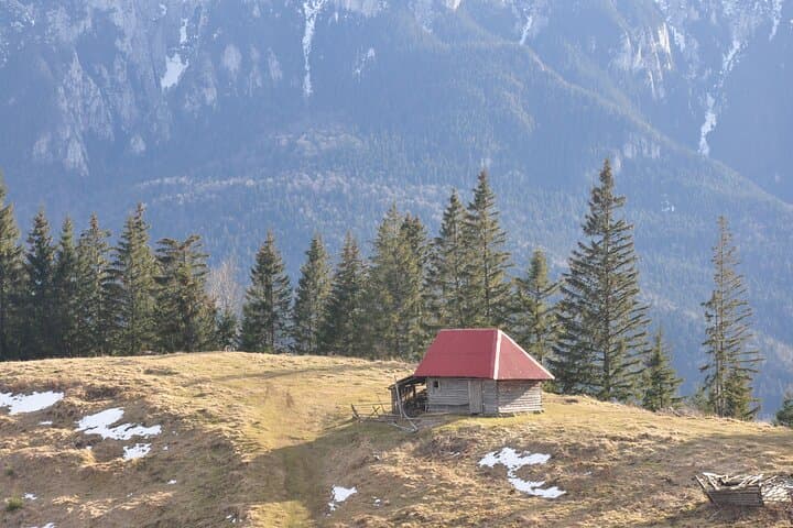 Hike in the Wild: Private Photo Tour on the Taga Mountains near Brasov photo 2