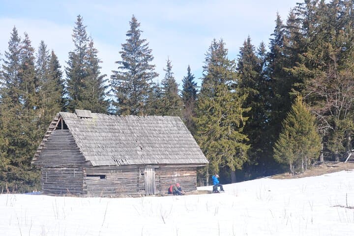 Hike in the Wild: Private Photo Tour on the Taga Mountains near Brasov photo 3