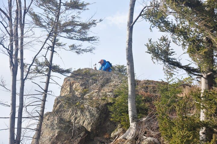 Hike in the Wild: Private Photo Tour on the Taga Mountains near Brasov photo 4