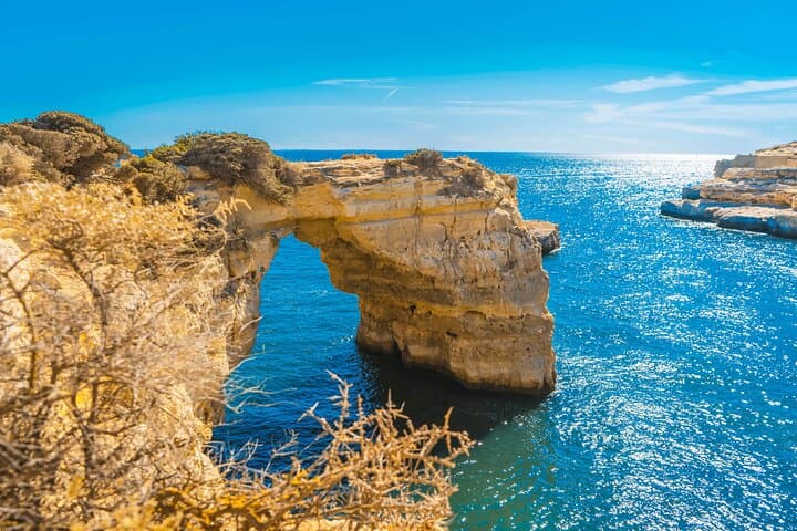 Portimão Benagil Cave and Dolphin Watching — Biologist-Guided Boat Tour photo 5