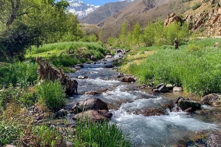 Atlas Mountains Day Trip: Camel Ride & Imlil Valley Trek from Marrakech photo 2