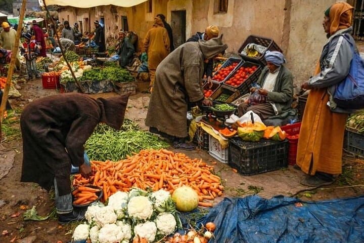 Atlas Mountains Day Trip from Marrakech: Berber Villages, Lunch & Camel Ride photo 2