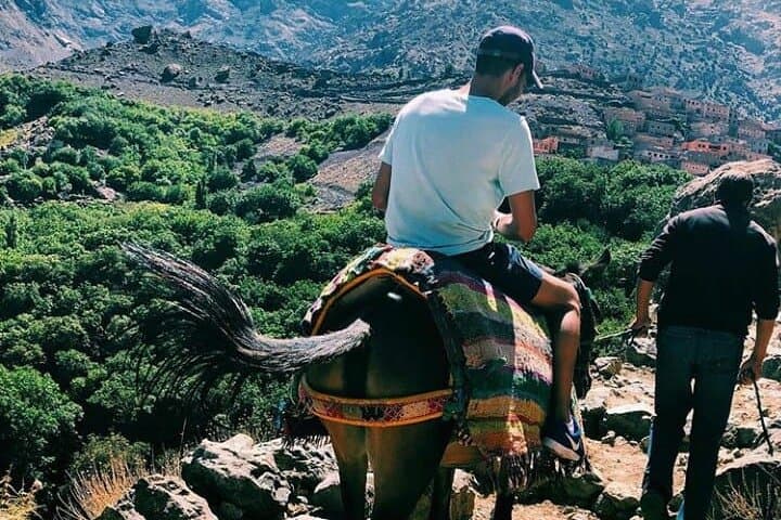 Atlas Mountains Day Trip from Marrakech: Berber Villages, Lunch & Camel Ride photo 6