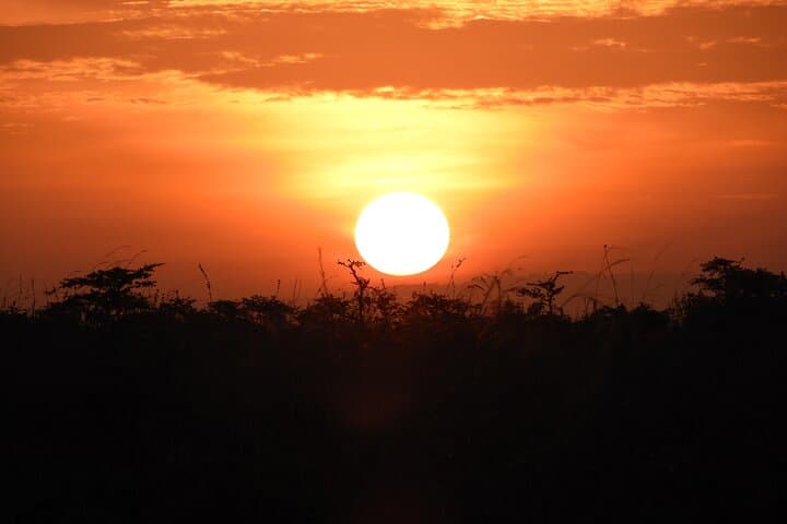 Exploring Nairobi National Park: A Morning Safari Adventure on the City’s Edge photo 6
