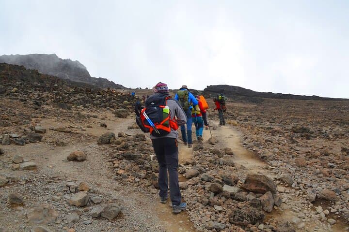 8-Day Mount Kilimanjaro Hiking Tour: A Step-by-Step Summit Adventure from Arusha photo 4