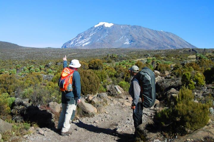 8-Day Mount Kilimanjaro Hiking Tour: A Step-by-Step Summit Adventure from Arusha