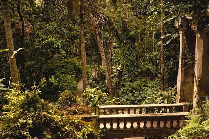 Tijuca National Park and Rio Botanic Garden Guided Tour — Vista Chinesa, Waterfalls & Wildlife photo 4