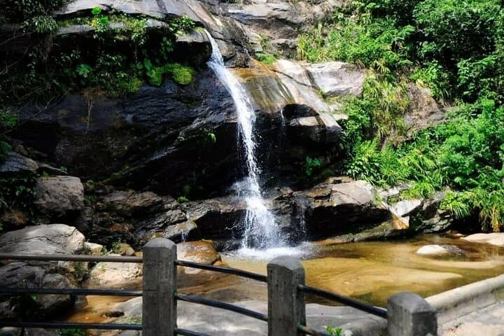 Tijuca National Park and Rio Botanic Garden Guided Tour — Vista Chinesa, Waterfalls & Wildlife photo 6