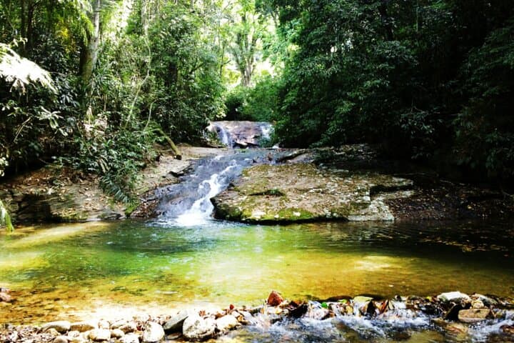Tijuca Forest Guided Tour with Transfer: Vista Chinesa, Taunay Waterfall & Mayrink Chapel photo 2