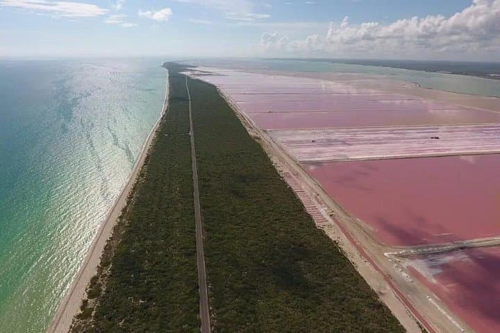 Explore Las Coloradas: Pink Lakes & Flamingos Day Tour from Playa del Carmen photo 2