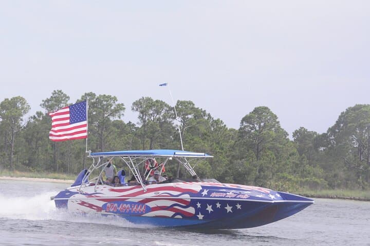 Private Dolphin Spotting Thrill Ride in Destin — Small-Group Gulf Cruise