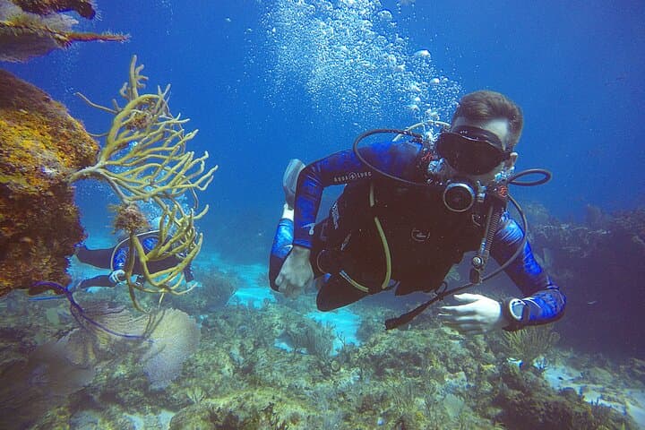 SDI Open Water Diver Certification in Cancun — 2-Day Course at MUSA & Coastal Reefs photo 4