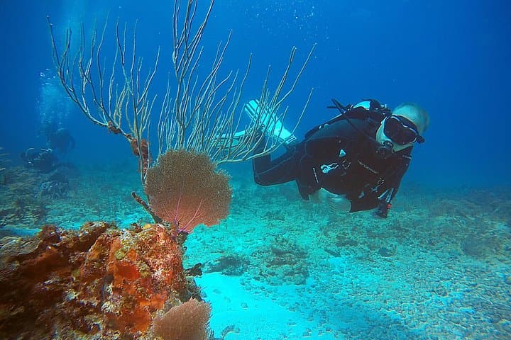 Two-Tank Shipwreck and Reef Dives in Cancún — Certified Diver Wreck Tour photo 6