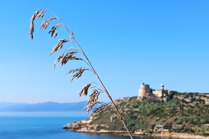 Hike to Devil's Saddle (Sella del Diavolo) — Cagliari Coastal Walk & Ruins photo 2