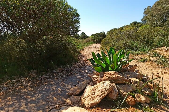 Hike to Devil's Saddle (Sella del Diavolo) — Cagliari Coastal Walk & Ruins photo 5
