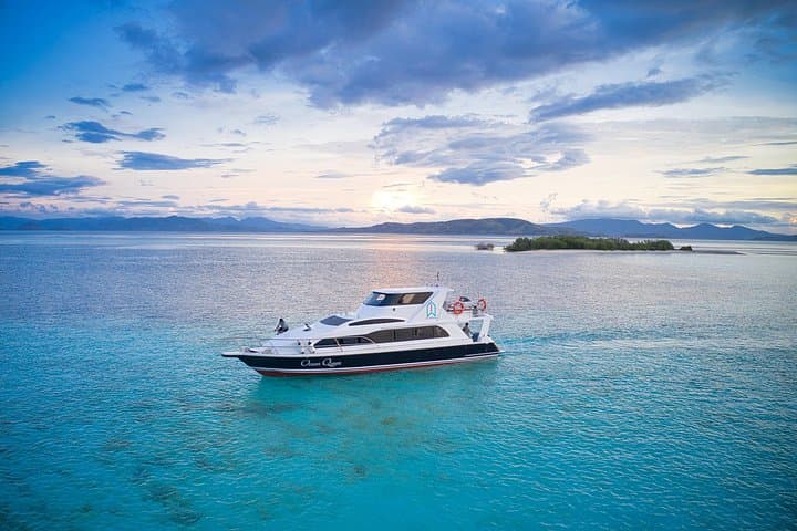 Full-Day Komodo Islands Boat Tour: Padar, Pink Beach, Komodo & Manta Swim photo 1
