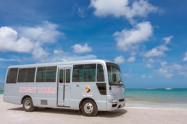 Baby Beach Day Trip in Aruba: Snorkel, Swim & Local Culture