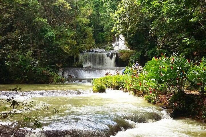 Private South Coast Adventure: Black River Safari, YS Falls & Pelican Bar from Montego Bay photo 5