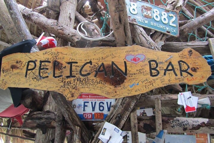 Private South Coast Adventure: Black River Safari, YS Falls & Pelican Bar from Montego Bay photo 4