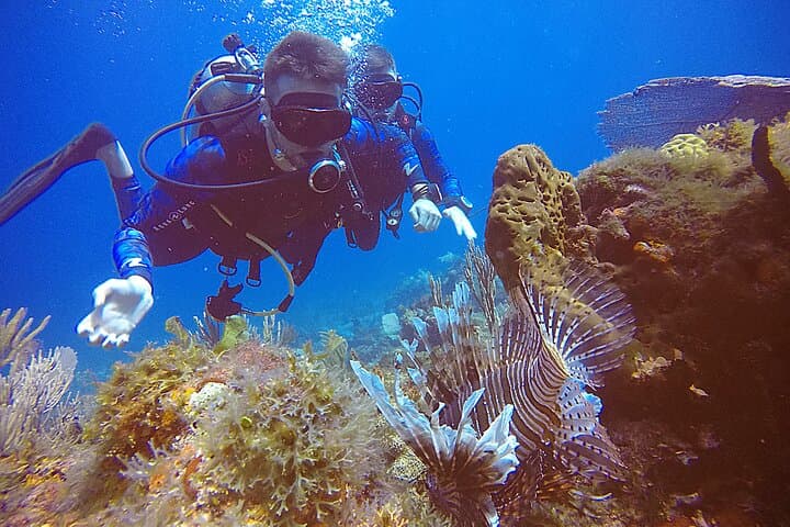 Two-Tank Punta Cancun Reefs Dive for Certified Scuba Divers